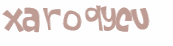 Captcha 챌린지