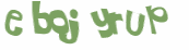 Captcha-Test