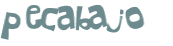 Desafio Captcha