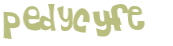 Captcha-udfordring