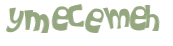 Captcha挑战