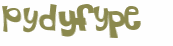 Captcha 챌린지