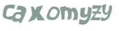 CAPTCHA 挑戰