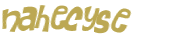 CAPTCHA 挑戰
