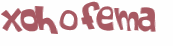 CAPTCHA 挑戰