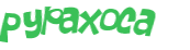 Captcha 챌린지