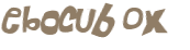 CAPTCHA 挑戰
