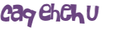 CAPTCHA 挑戰