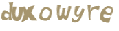 CAPTCHA 挑戰