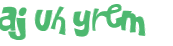 CAPTCHA 挑戰