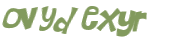CAPTCHA 挑戰