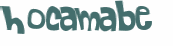 Captcha 챌린지