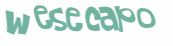 Desafio captcha