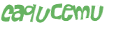 Captcha 챌린지