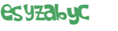 CAPTCHA 挑戰