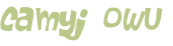 CAPTCHA 挑戰
