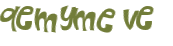 CAPTCHA 挑戰