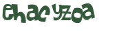 Desafio Captcha