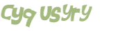 Wyzwanie captcha