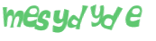 Captcha-Test