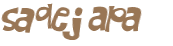 Sfida captcha