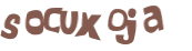 Captcha 챌린지
