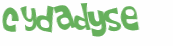 CAPTCHA 挑戰