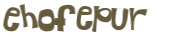 Captcha 챌린지