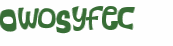 CAPTCHA 挑戰