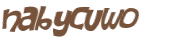 CAPTCHA 挑戰