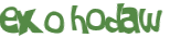 Wyzwanie captcha