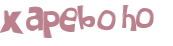 CAPTCHA 挑戰