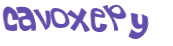 CAPTCHA 挑戰