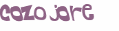 Desafio captcha