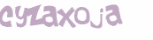 CAPTCHA-haaste