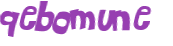 CAPTCHA 挑戰