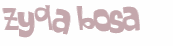 Captcha 챌린지
