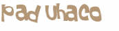 CAPTCHA 挑戰