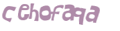 CAPTCHA 挑戰