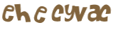Desafio captcha