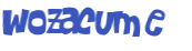 Captcha 챌린지