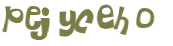 CAPTCHA 挑戰