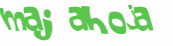 Captcha 챌린지