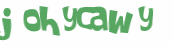 Wyzwanie captcha