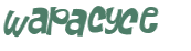 CAPTCHA 挑戰
