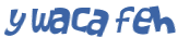 Wyzwanie captcha