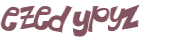 Captcha 챌린지