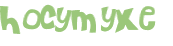 CAPTCHA 挑戰