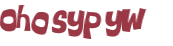 Wyzwanie captcha