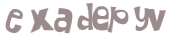 CAPTCHA 挑戰